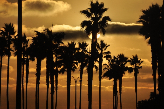 sunset over Belmont Park